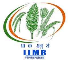 logo of iimr